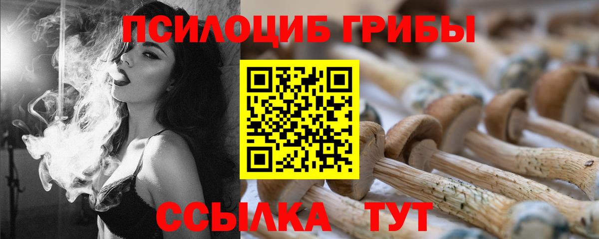 Волхов  Галлюциногенные грибы Cubensis  Вход с VPN 